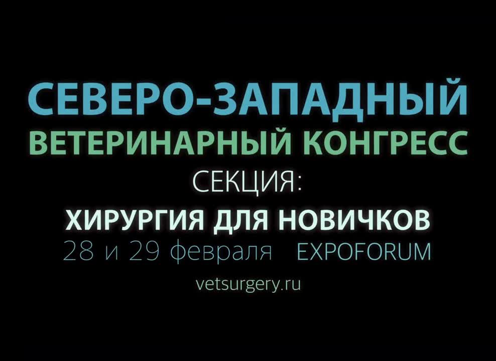 Конгресс с международным участием профессия и здоровье логотип. Северо западный конгресс. Съезд по туризму в коми. Северо западный конгресс. Здание всемирный метеорологический конгресс.