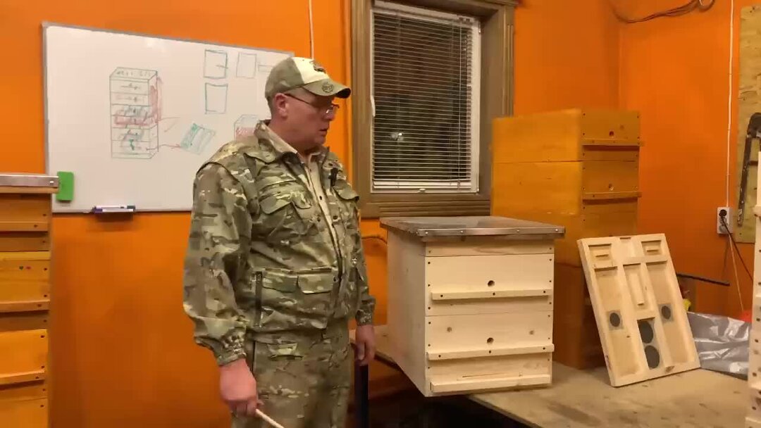 Какую породу пчел выбрать начинающему пчеловоду?+