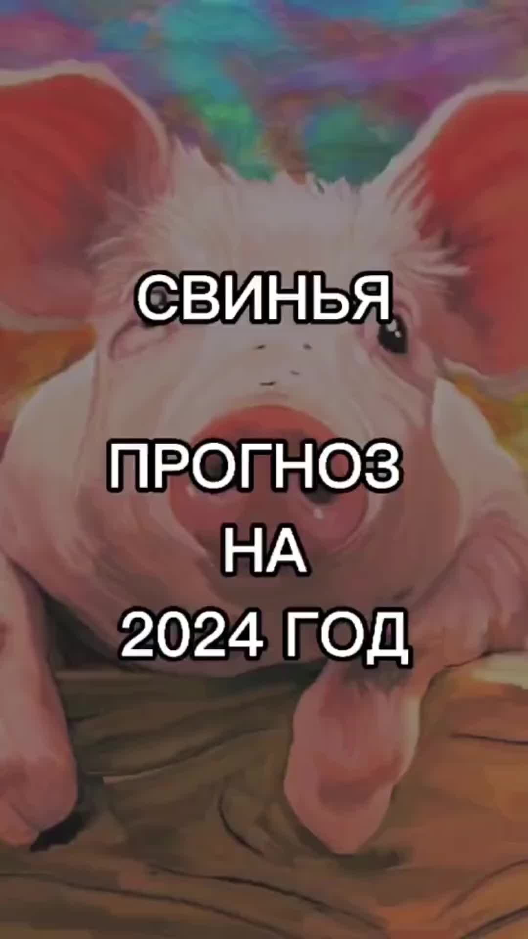 Свинья телец мужчина характеристика. Женщина рожденный в год свиньи. Свинья гороскоп. Весы свинья женщина. Когда будет год поросенка.