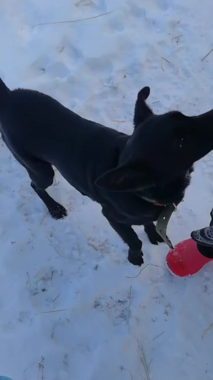 погода в черкесске на неделю. пагода. погода в биробиджане на 3 дня.