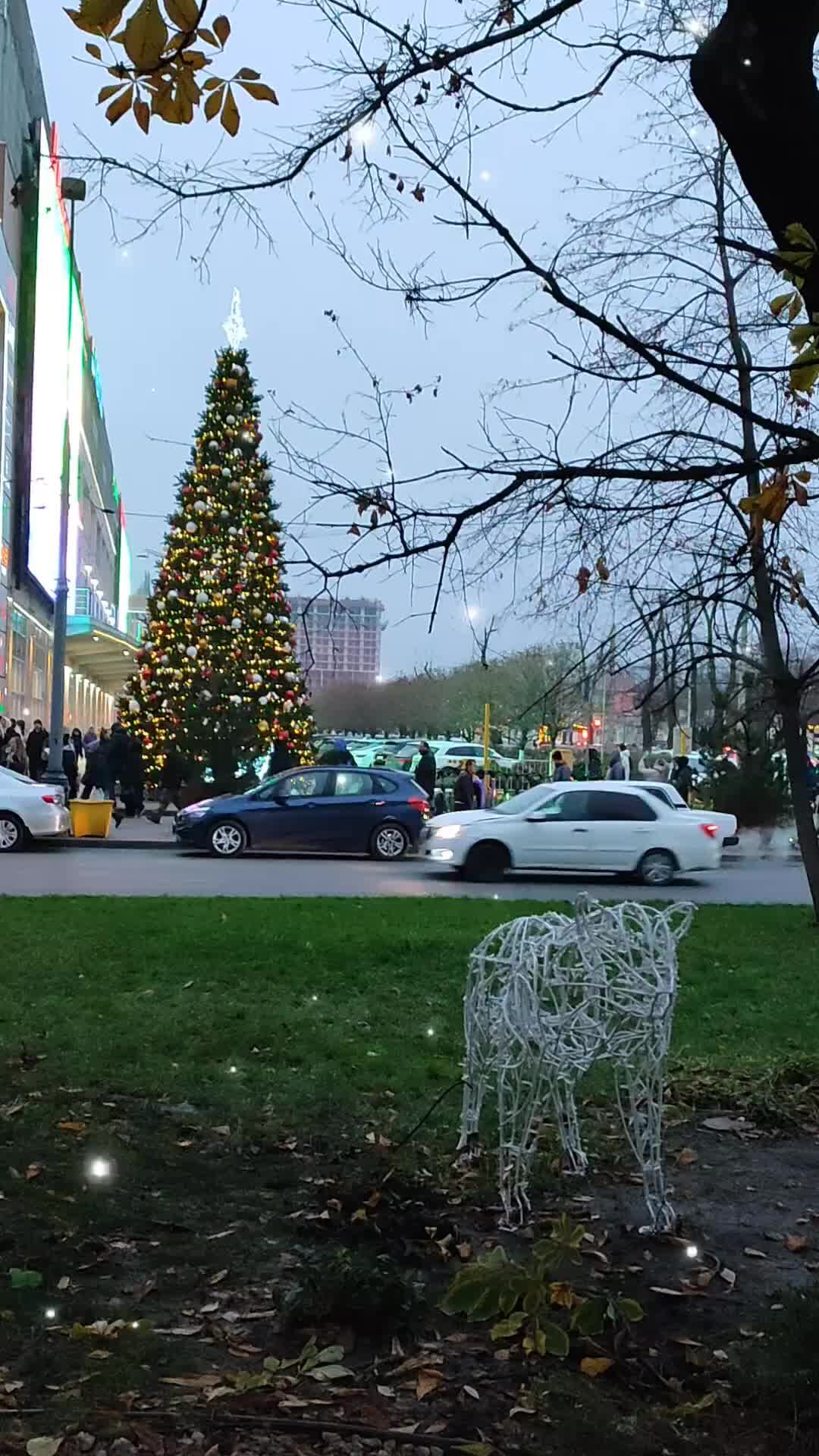 Нового дня