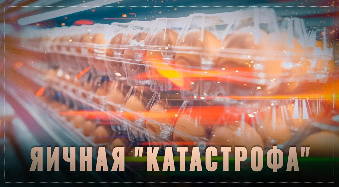 Org moisport ru login