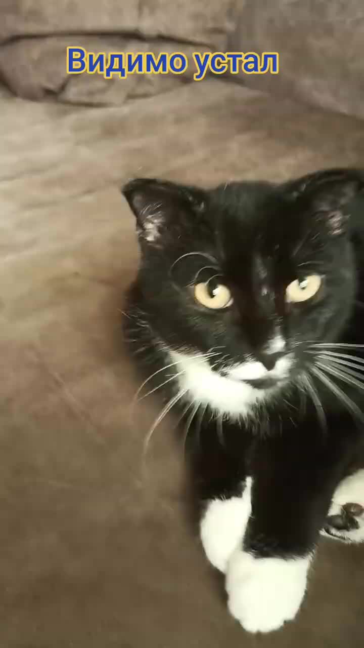 Совсем не хочется спать ночью. Что делать если немодешь уснуть. Как быстро уснуть. Что делать нслм немможешь уснуть. Как быстро заснуть.