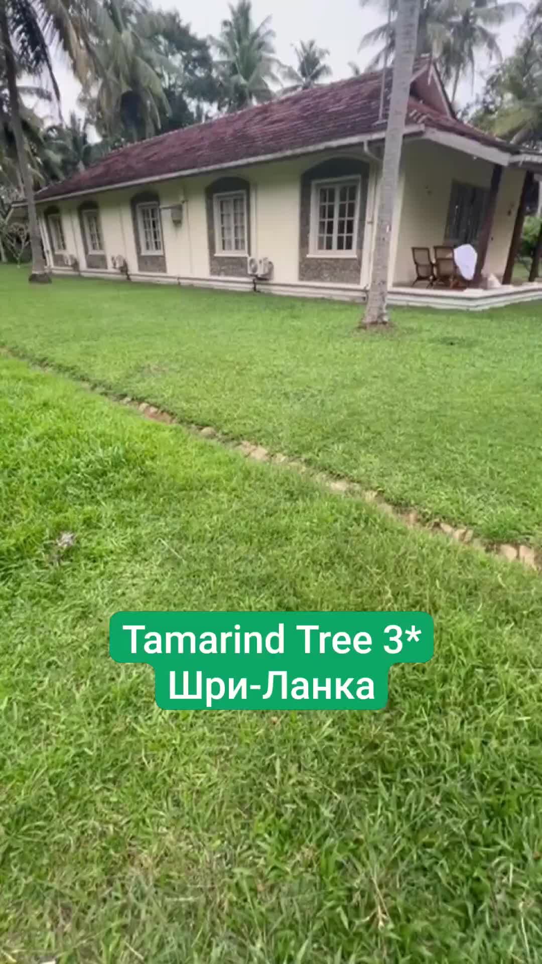 Tree 3 number. Поваленное дерево 3д модель. Деревья на трех вершинах. Деревья для 3d перспектива для фотошопа. 3l моделирование дерево.