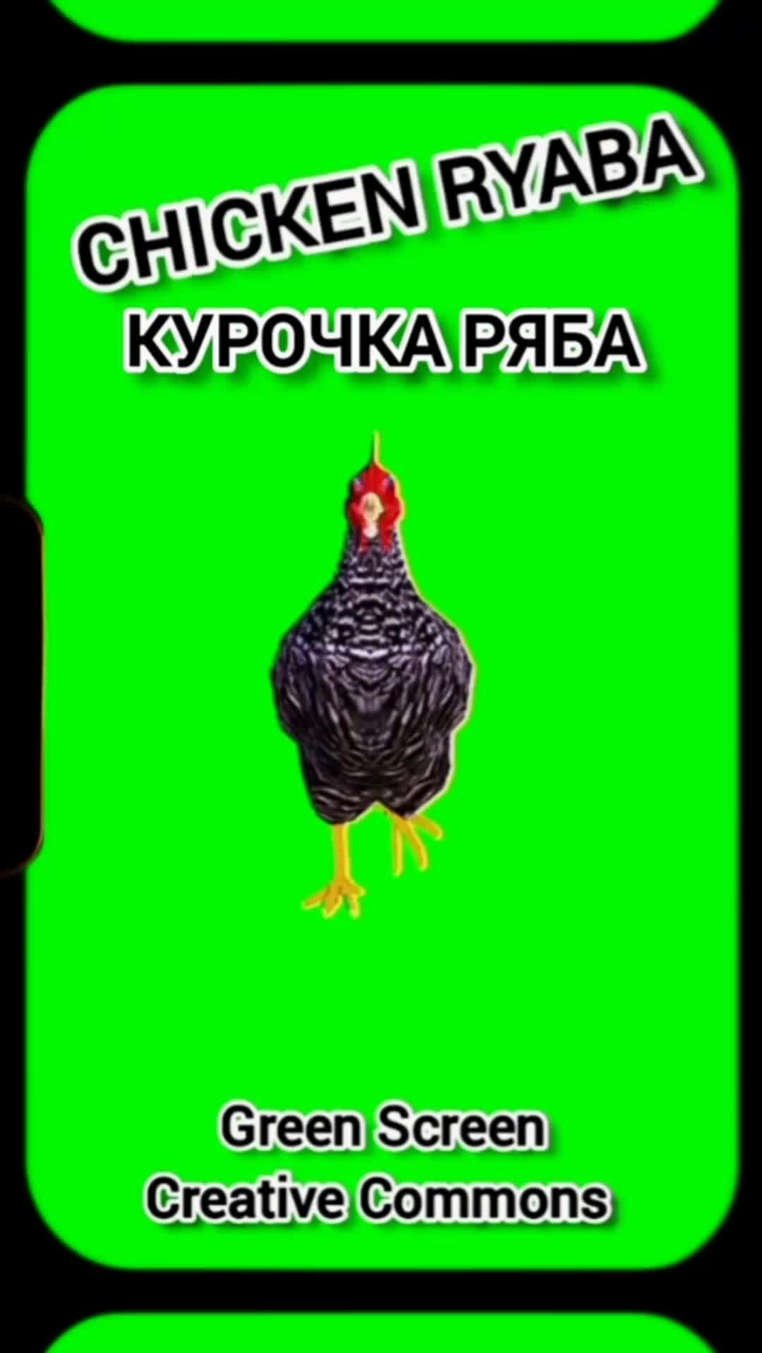 Что такое хромакей для видео и как использовать зеленый и синий цвет фона? | Инфомульт Москва