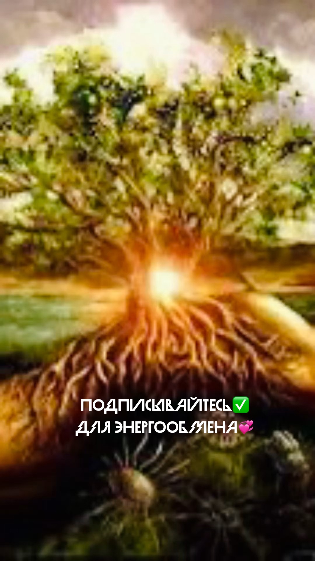 Богиня яга виевна. Славянские резы рода колода. Оракул род. Карты славянские резы рода. Михаил таро млечный путь ютуб.