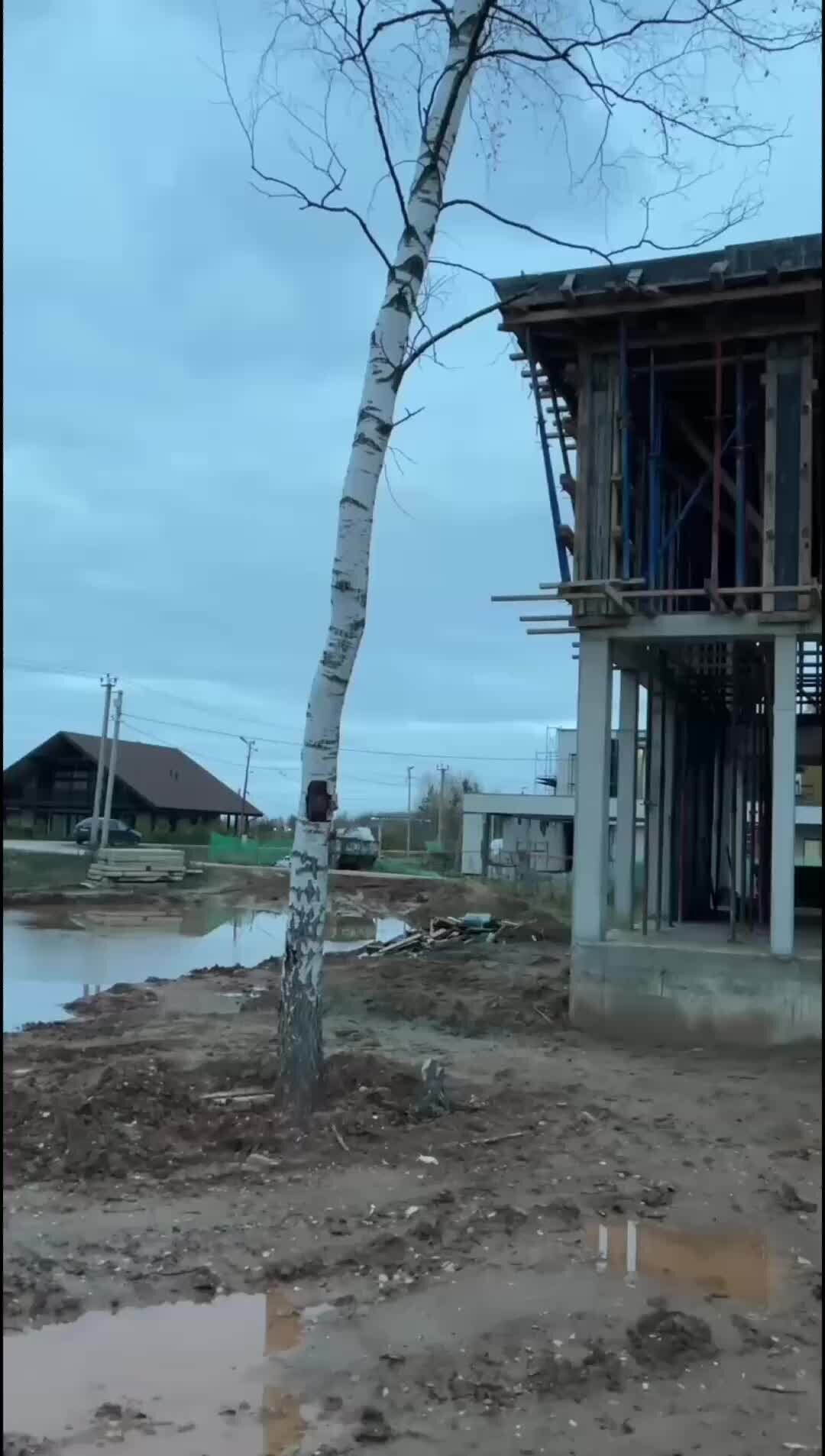 Дом бека. Дом бека. Баку достопримечательности дом гаджинского. Баку достопримечательности дом гаджинского. Gold bek house.