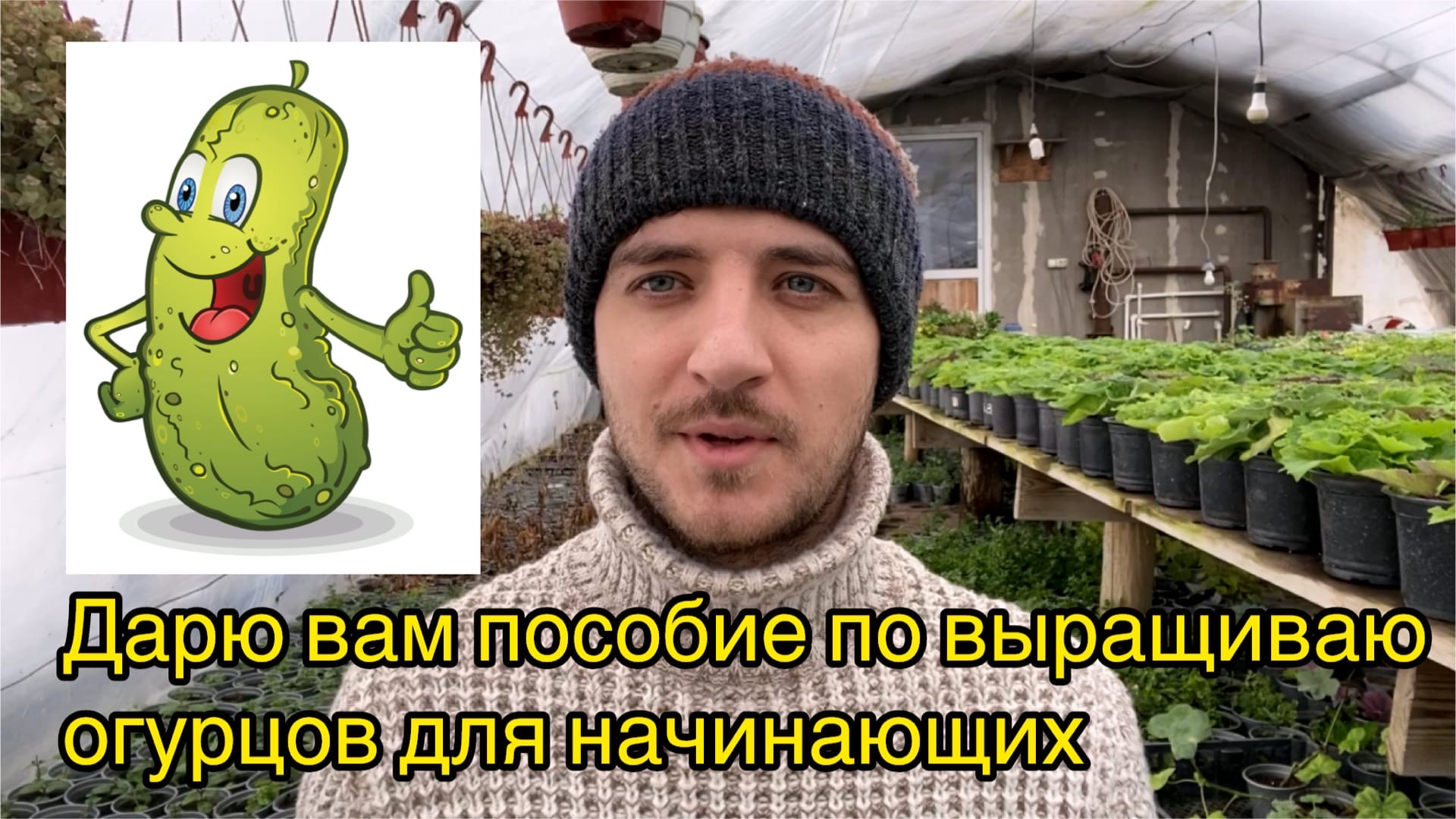 Создание нового документа в word. Учебно-методическое пособие для студентов. Книжка методичка. Методичка по английскому для вуза. Методичка открытого.
