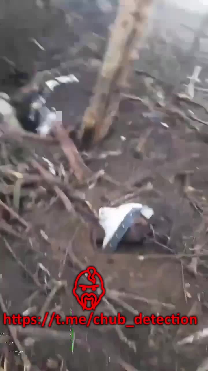 поднятие девушки на руки. отчим поднимает руки. отчим поднимает руки. отчим поднимает руки. физическое наказание детей.