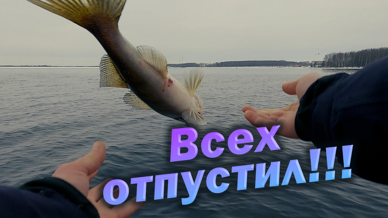X x 20 равно x 5. X x 20 равно x 5