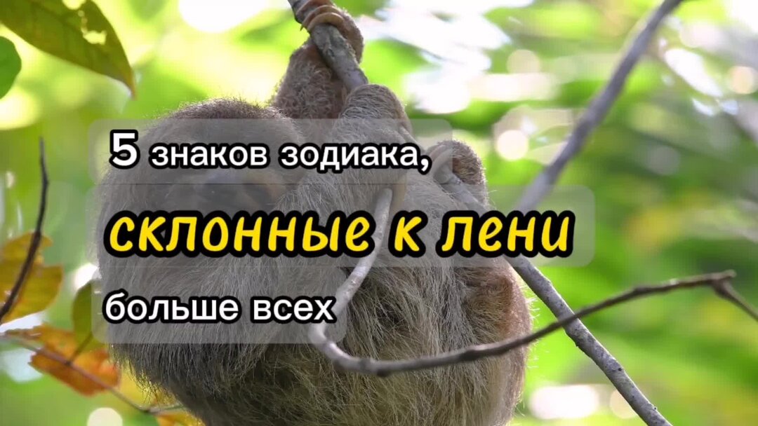 Леня больше не звони