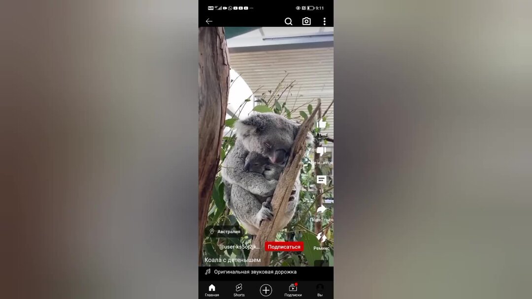 Сборник упражнений по английскому 2 класс быкова. Сборник спотлайт 2 класс. Английский в фокусе 4 класс 47стр. Английский в фокусе 2 стр 5. Спотлайт 2 видео.