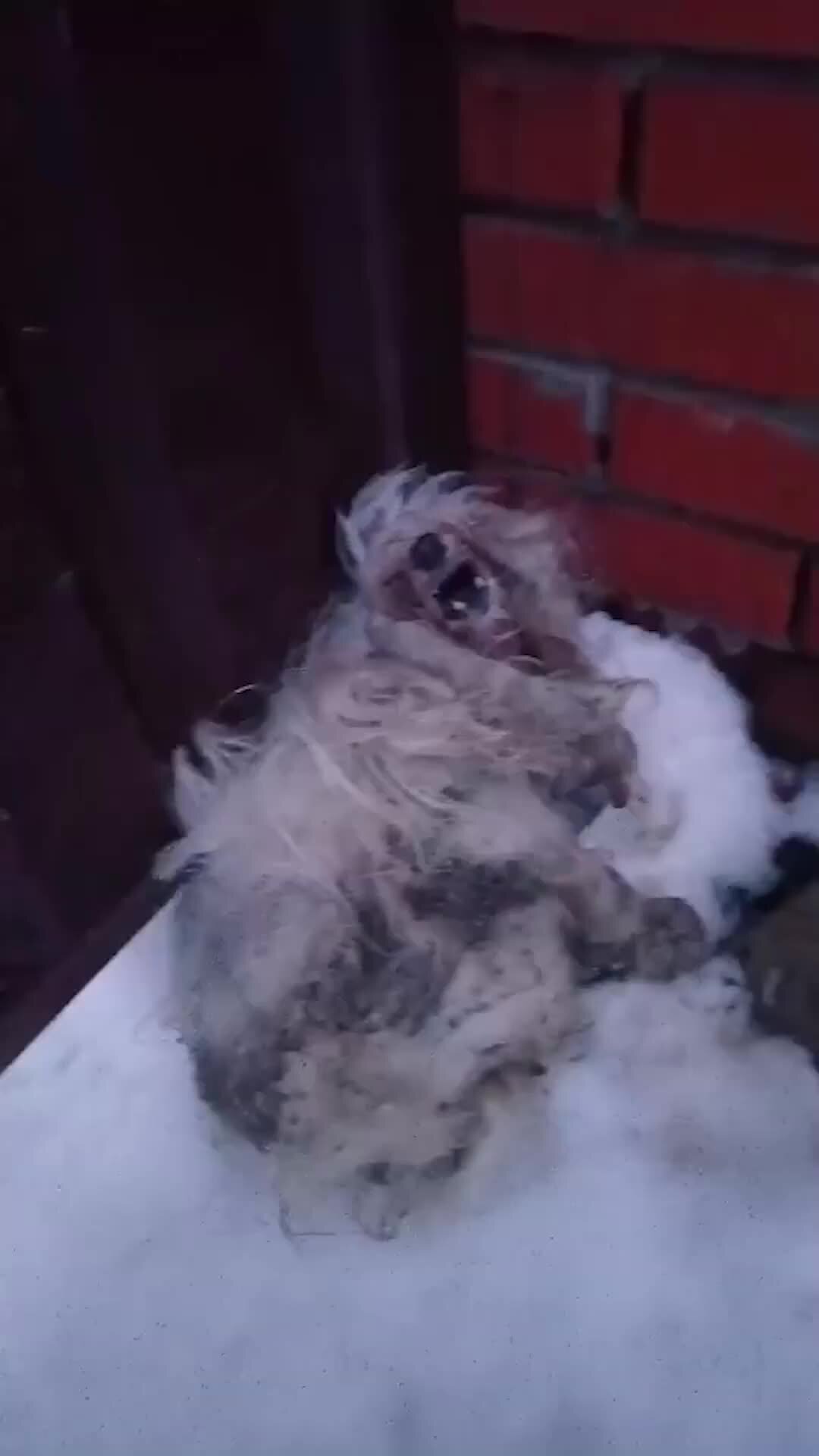 всемирный потоп ноах. брошенные корабли. фростпанк. постер ark. футболки с принтом игры ark survival evolved.