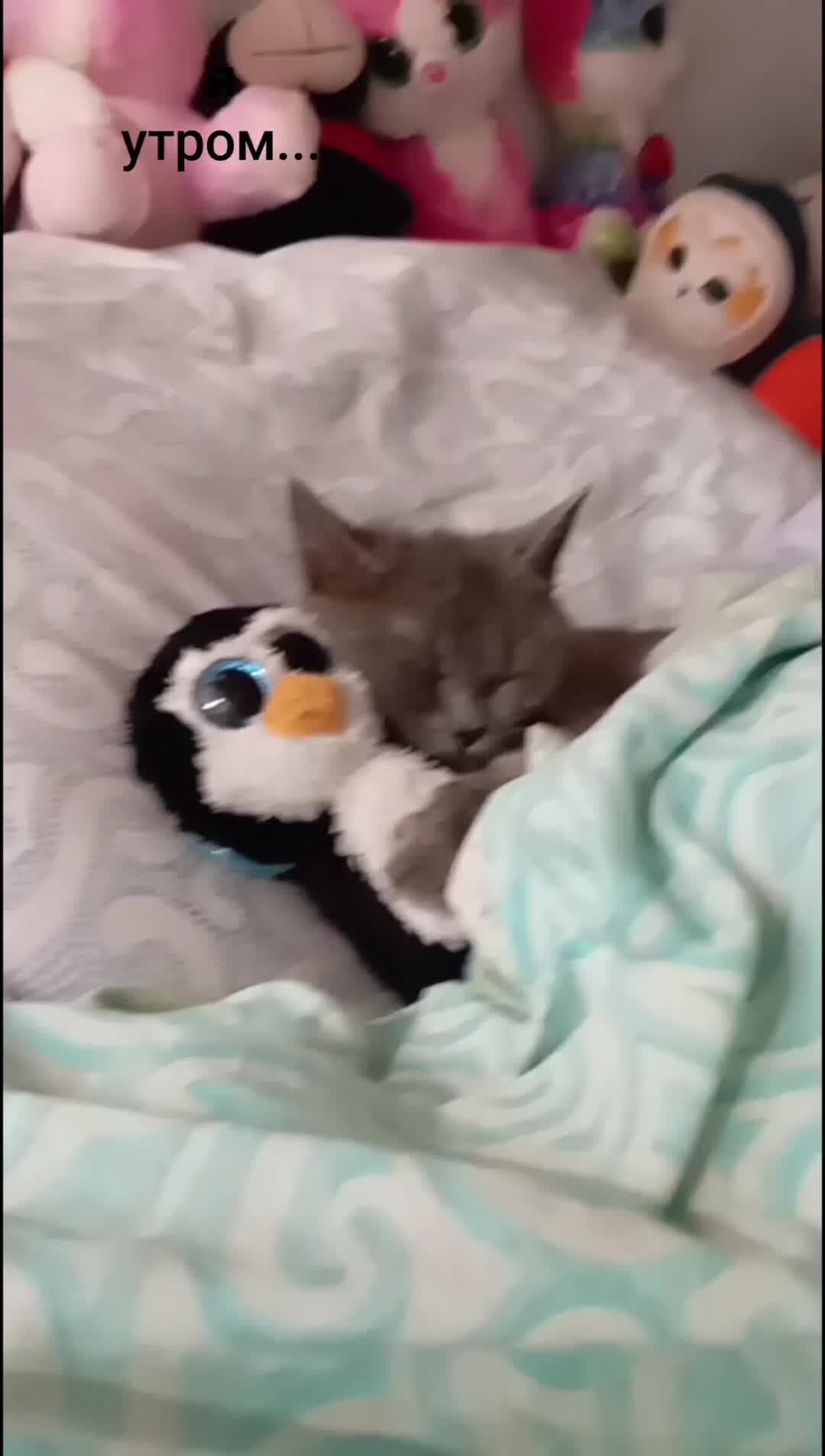 Что делать когда нечего делать. Алиса что такое ничего. Льюис кэрролл цитаты. Все мы здесь не в своем уме. Джонни депп алиса в стране чудес.