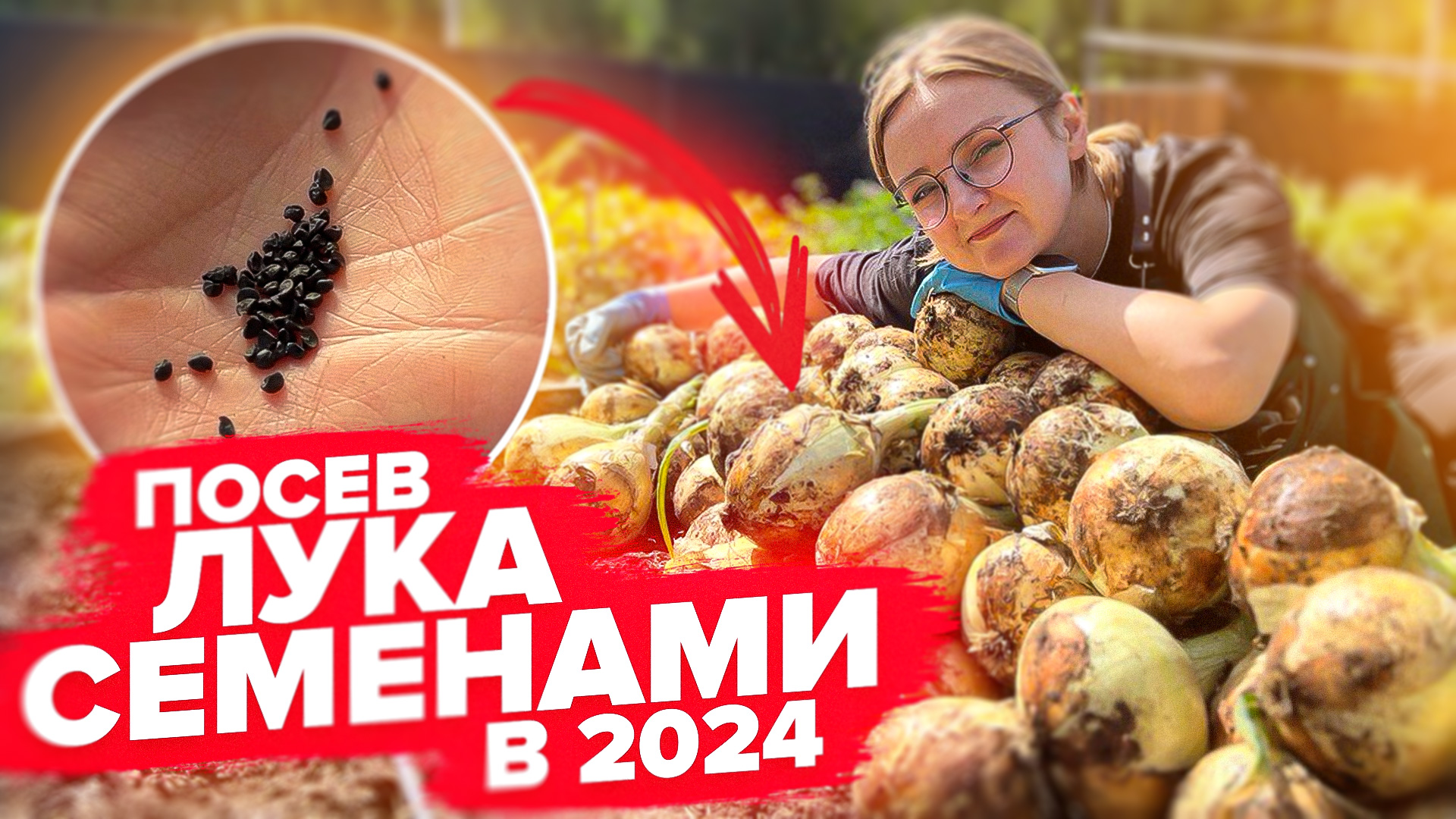 можно ли оставить на семена. семенной материал овощных. правила сбора семян. коллекция семян культурных растений вавилова. хранилище семян вавилова.