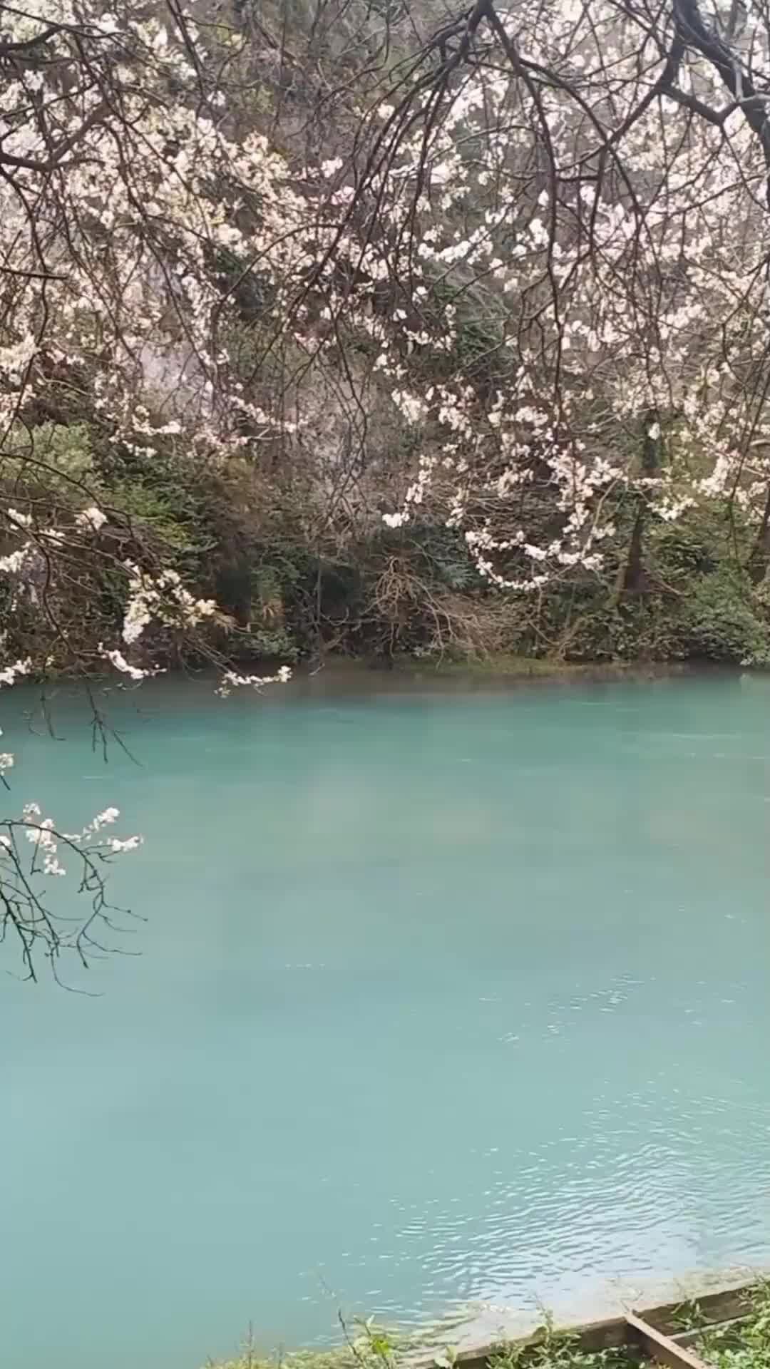 Интегративная любовь | Стихи про воду 💦 читает автор. На видео потрясающая  природа Абхазии весной 🌸🌱⛰️😍 | Дзен