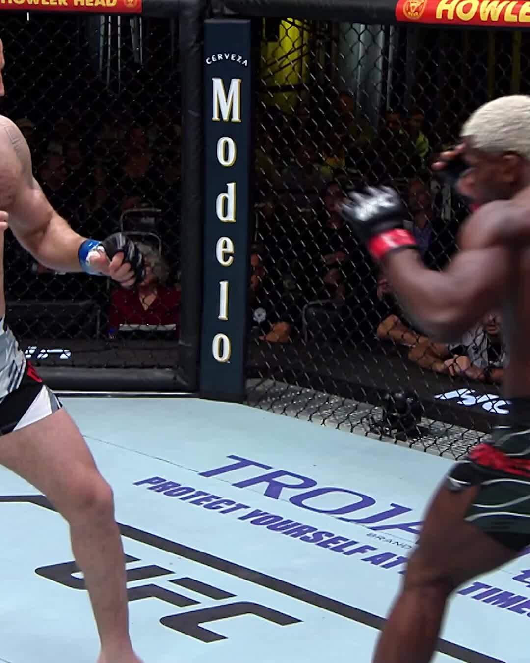 Хамзат чимаев нейт диаз. Бой чимаева состоится. Бой чимаева состоится. Хамзат чимаев нейт диаз. Бой чимаева состоится.