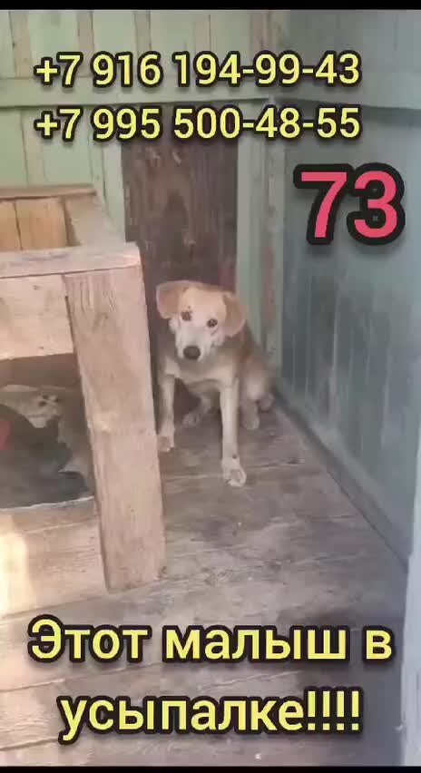 Самогонный аппарат добрый жар дачный 20 литров. Расширительный бак рефлекс 250 литров. Расширительный бак 24л комплектация. Бак топливный 6 литров для скутера irbis grace. Мембранный бак reflex в разрезе.