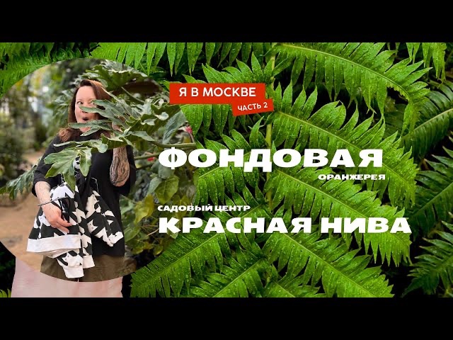 Садовый центр ботаник