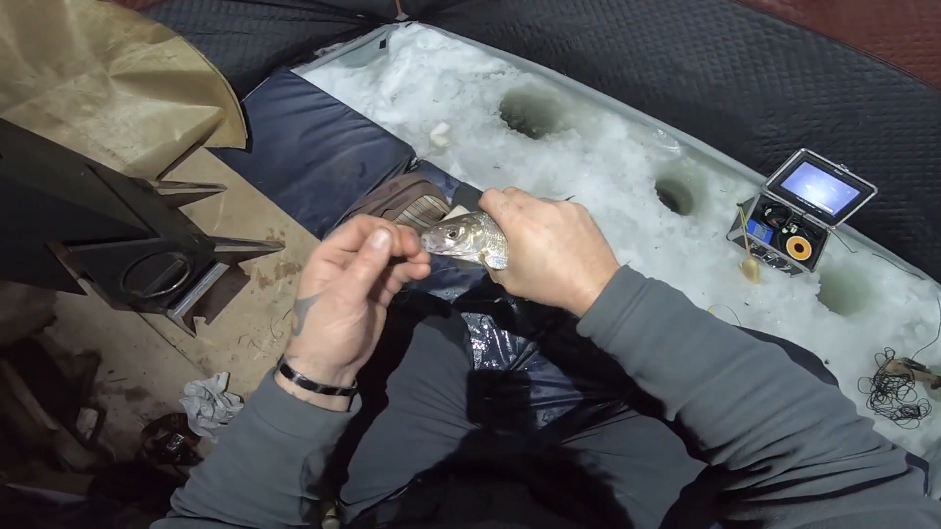 это не диалоги о рыбалке 2024