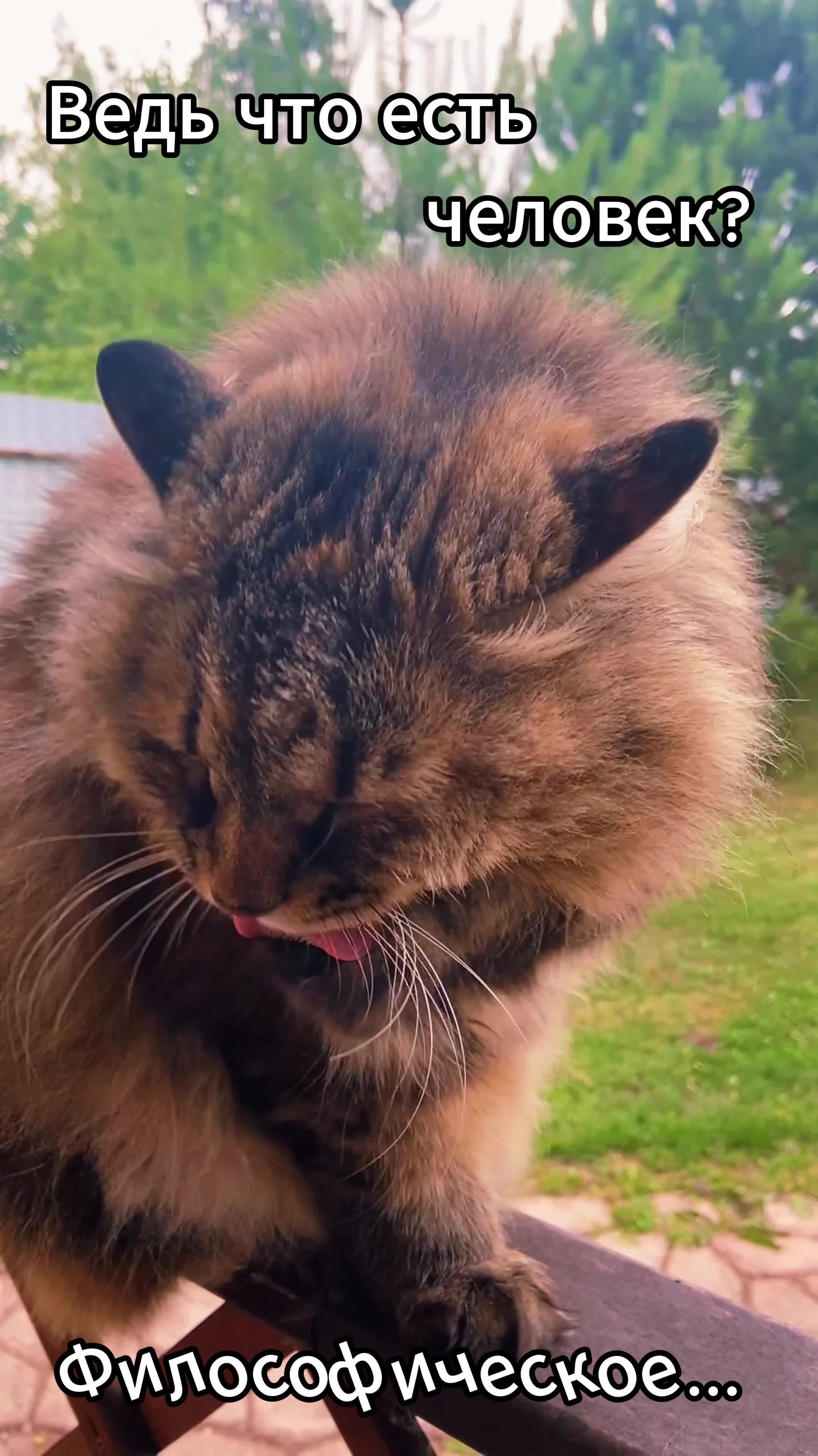 Зачем зашёл на мою страницу. Тогда молчи. Ну тогда пишите. Расстрелять вову. Картинка не пишешь мне.