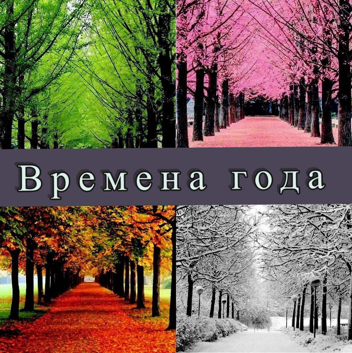 Упражнение 3 страница