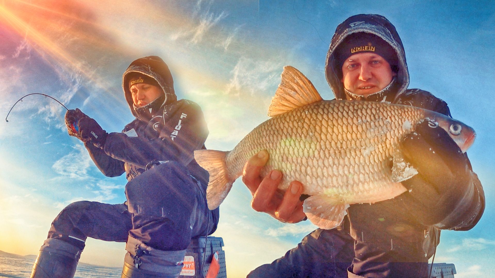 Поющие рыбы алекса. Своя рыбка. Алексфиш. Алекс фиш в дедовске на карте. Логотип прудового хозяйства.