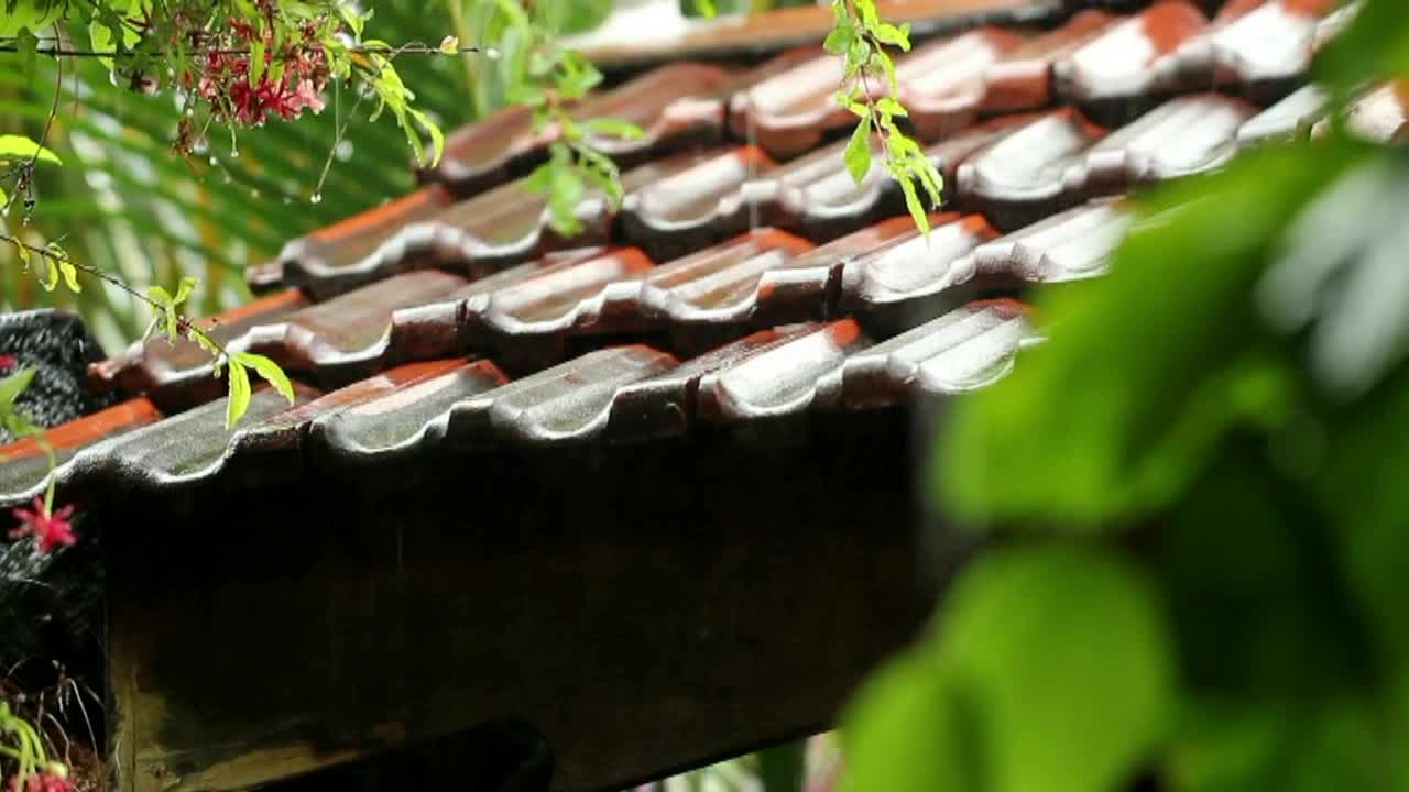 Гром дождь по крышам. Rain on the Roof.