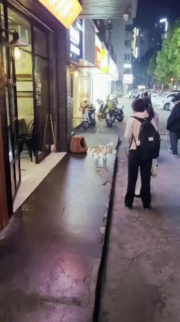 Пара в горах. Мужчина на природе. Красивая девушка в горах. Горы вдали. Девушка на фоне гор.