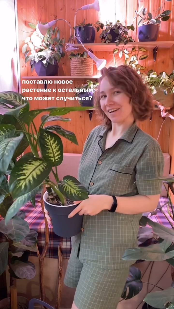 надзор в области семеноводства. всероссийский центр карантина растений. отдел карантина растений. вода очищенная контроль качества. брянская губерния выпуск про лаборатории.