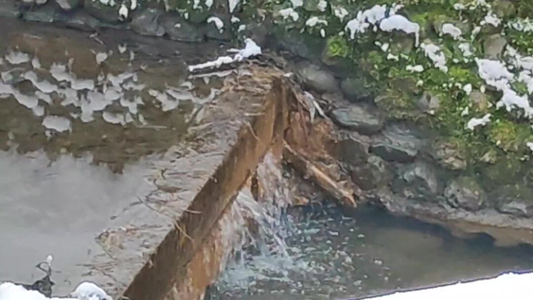 Англо-арабская порода лошадей. Фотообои белые кони. Дом белой лошади. Рисунок в анималистическом жанре в технике сухая кисть. Лошадь бежит.