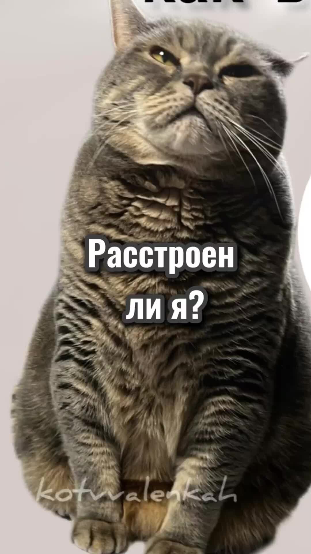 Расстроен ли я. Расстроенный человек. Расстроенный человек. Человек в отчаянии. Расстроен ли я.