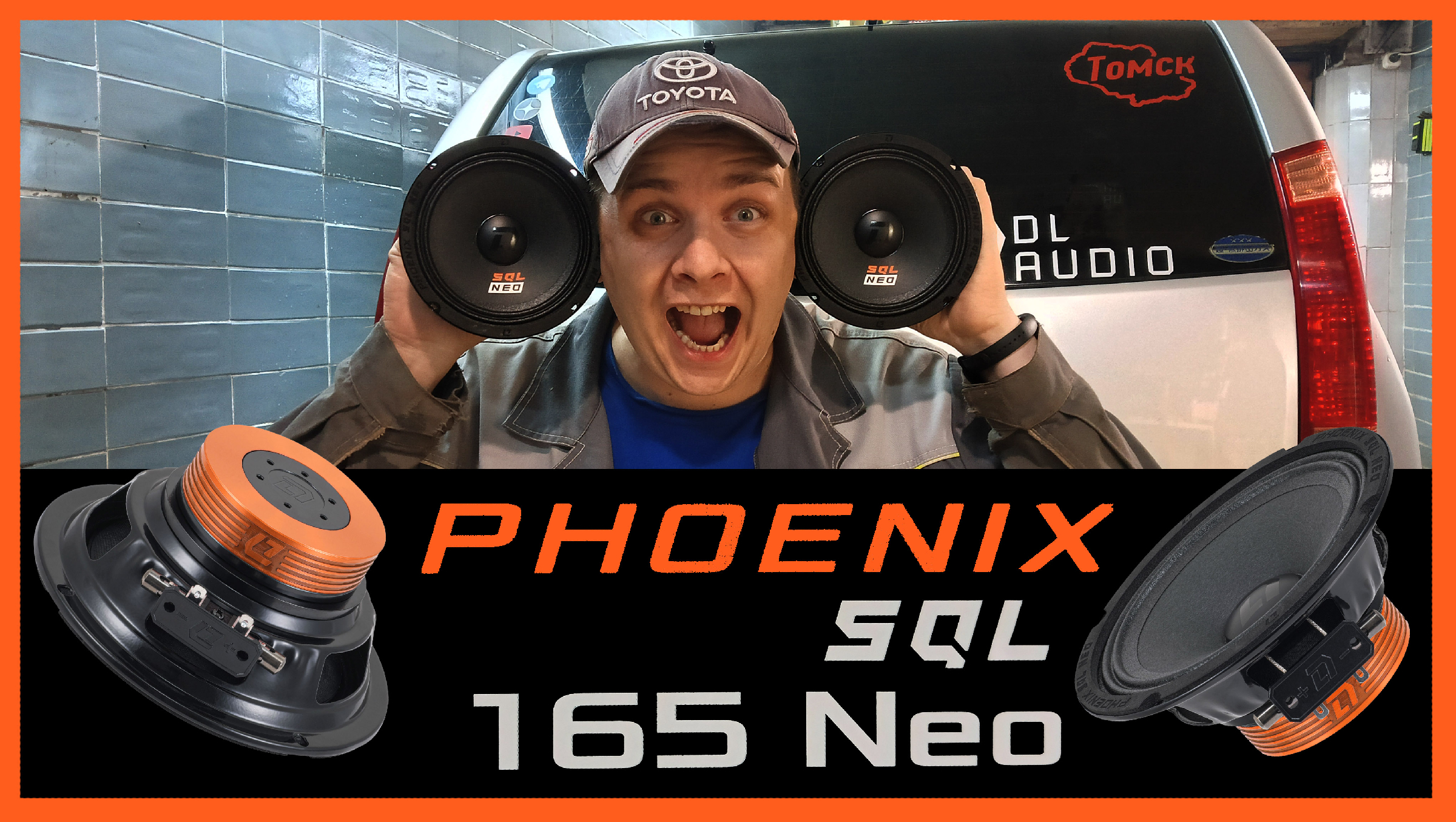 Колонки урал 13 см молот. Урал ас-а1625к авангард (пара) (ural). Овалы dl audio phoenix. Phoenix sql neo. Акустическая система apart mph31.