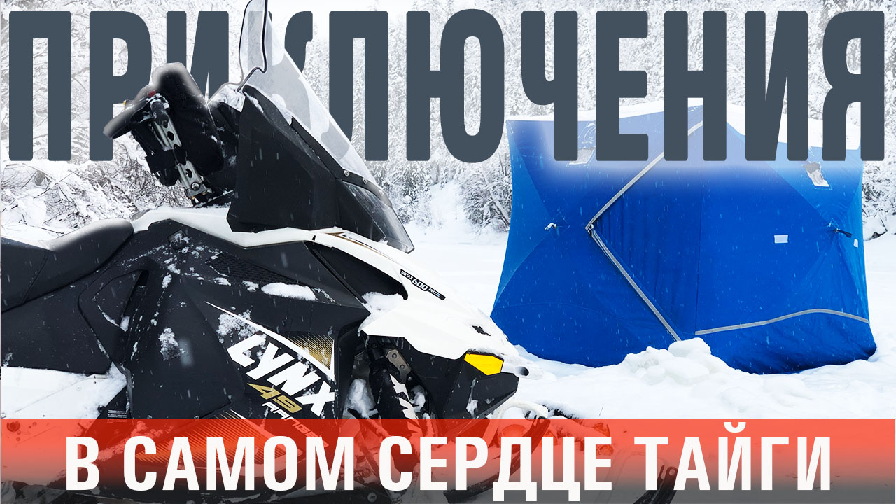 а 4 влад а 4. а4 влад 24. а4 влад бумага ламба. ролики детские раздвижные 29-32 купить с защитой. ролики а4 новые ролики.