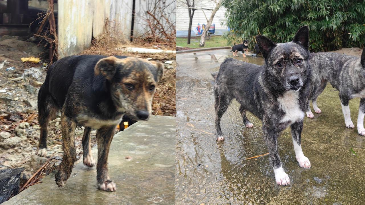 З оо. З оо. Бентли гос номер м222нт. З оо. З оо.