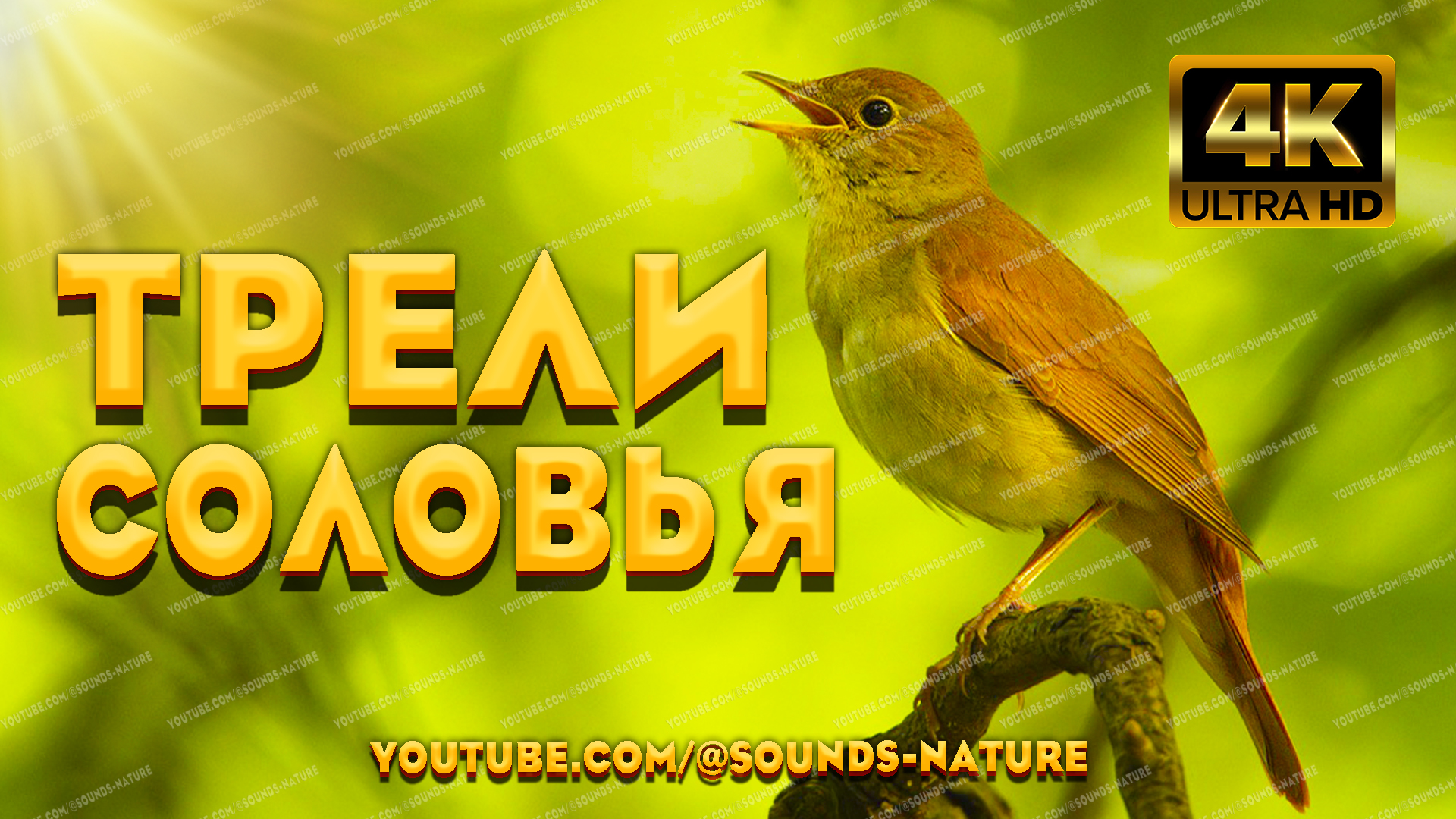 Стихия воздуха. Позитивные стихи. Стихи о любви. Струны человеческой души. Красивая душа.