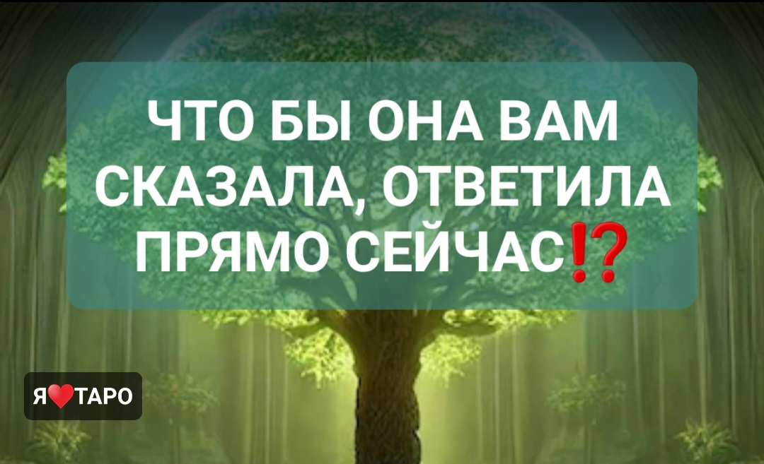 Отвечает через сообщение. Отвечает через сообщение