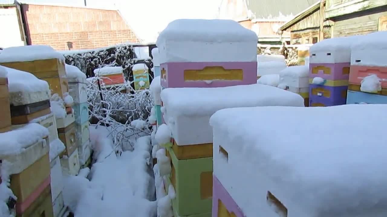 Зима производитель Зима производитель