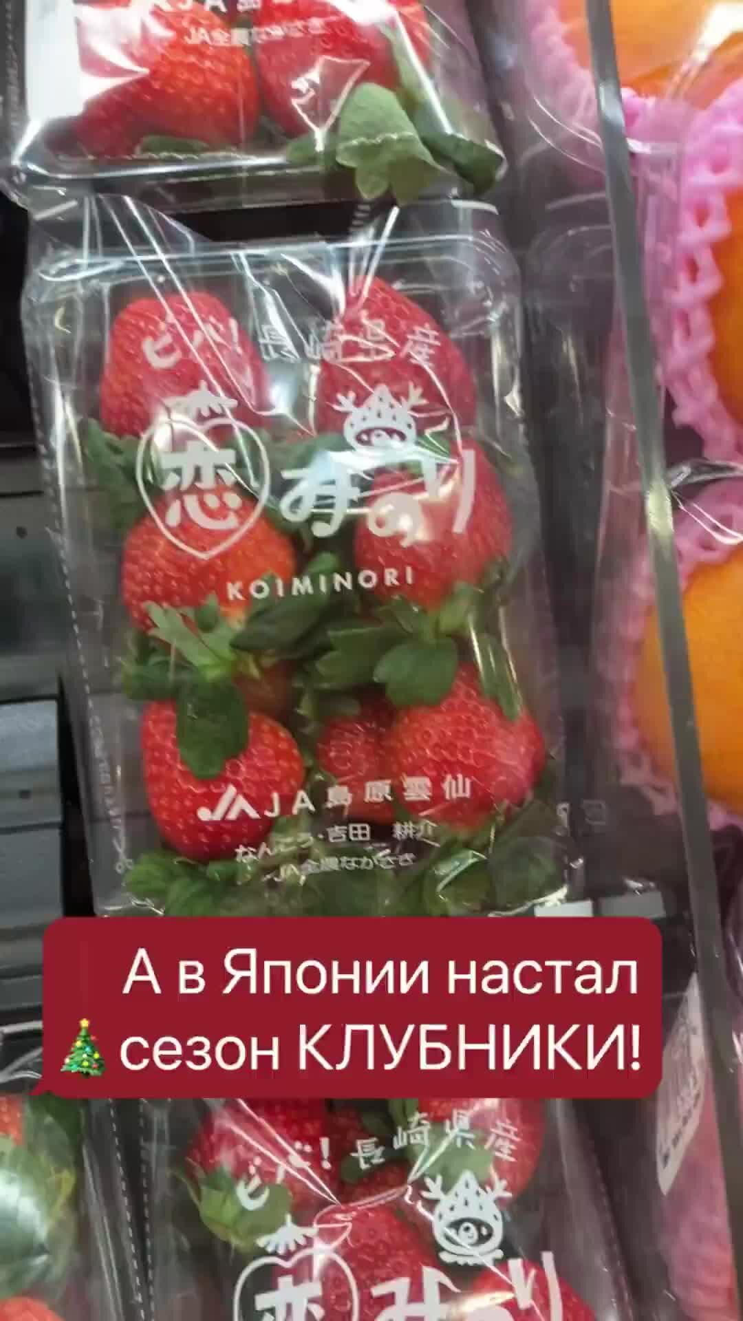 Дневник Усаги о жизни в Японии | японцы едят клубнику зимой 🍓#японцы  #японияпутешествия #япония #японскаякухня #азия #еда | Дзен