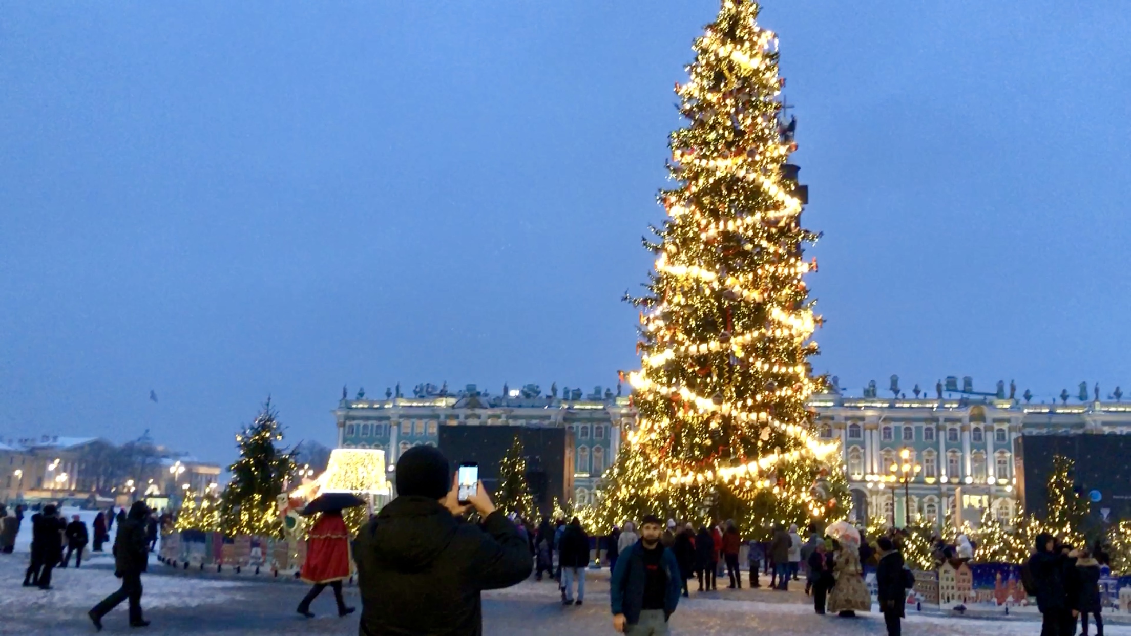 какая елка 2024. новогодняя елка 2022. какая елка 2024. нео елка. стильно украшенная елка.