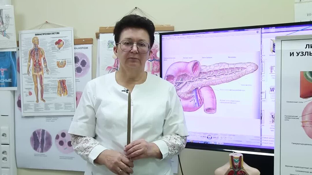 Метод шишова. Метод шишова. Шишова лимфатический массаж. Дрим терра шишова о и. Метод шишова.