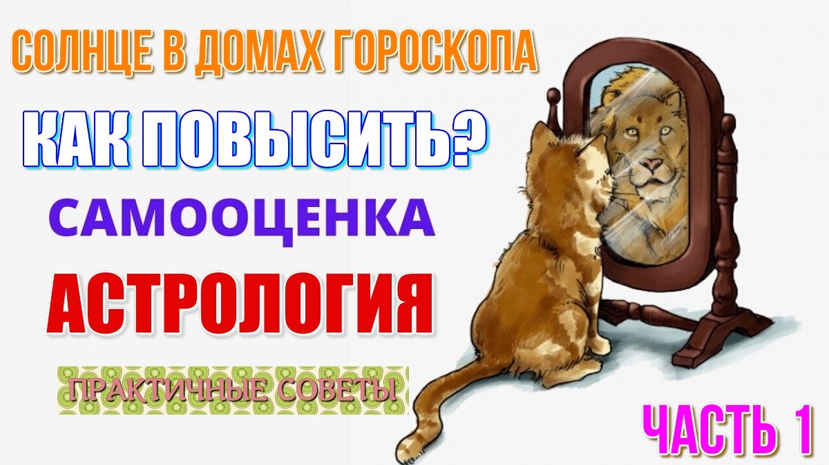 Раскройте следующие понятия