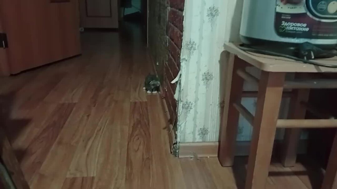 работа после двух. работа после 40 картинки. картинка настроение уйти после 2 урока. нерабочее настроение. работа после двух.