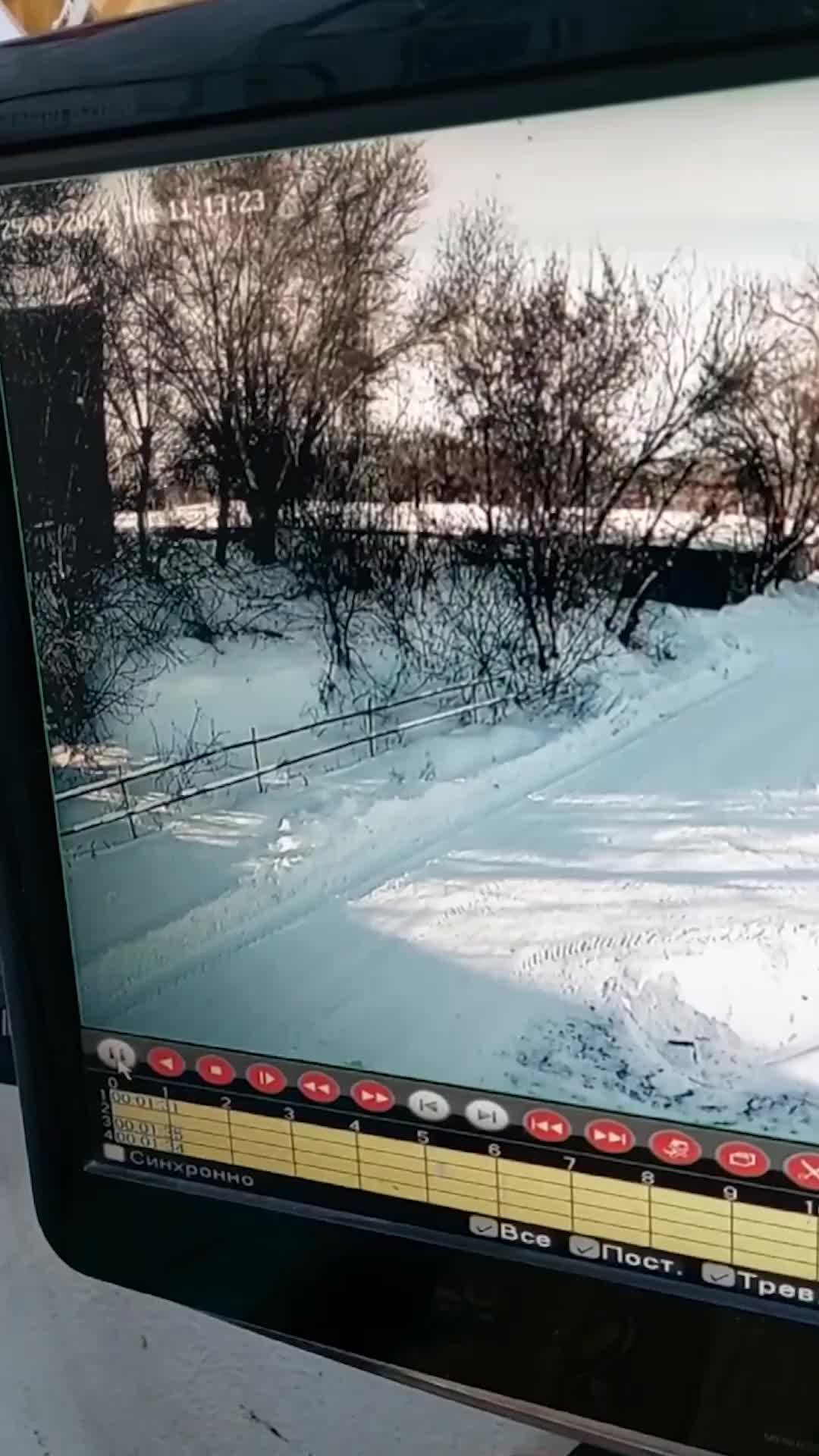 Обезболивающие таблетки для кошек. Можно ли давать человеческие обезболивающие. Таблетки от боли в сердце. Можно ли давать человеческие обезболивающие. Обезболивающее лекарство для кошек.