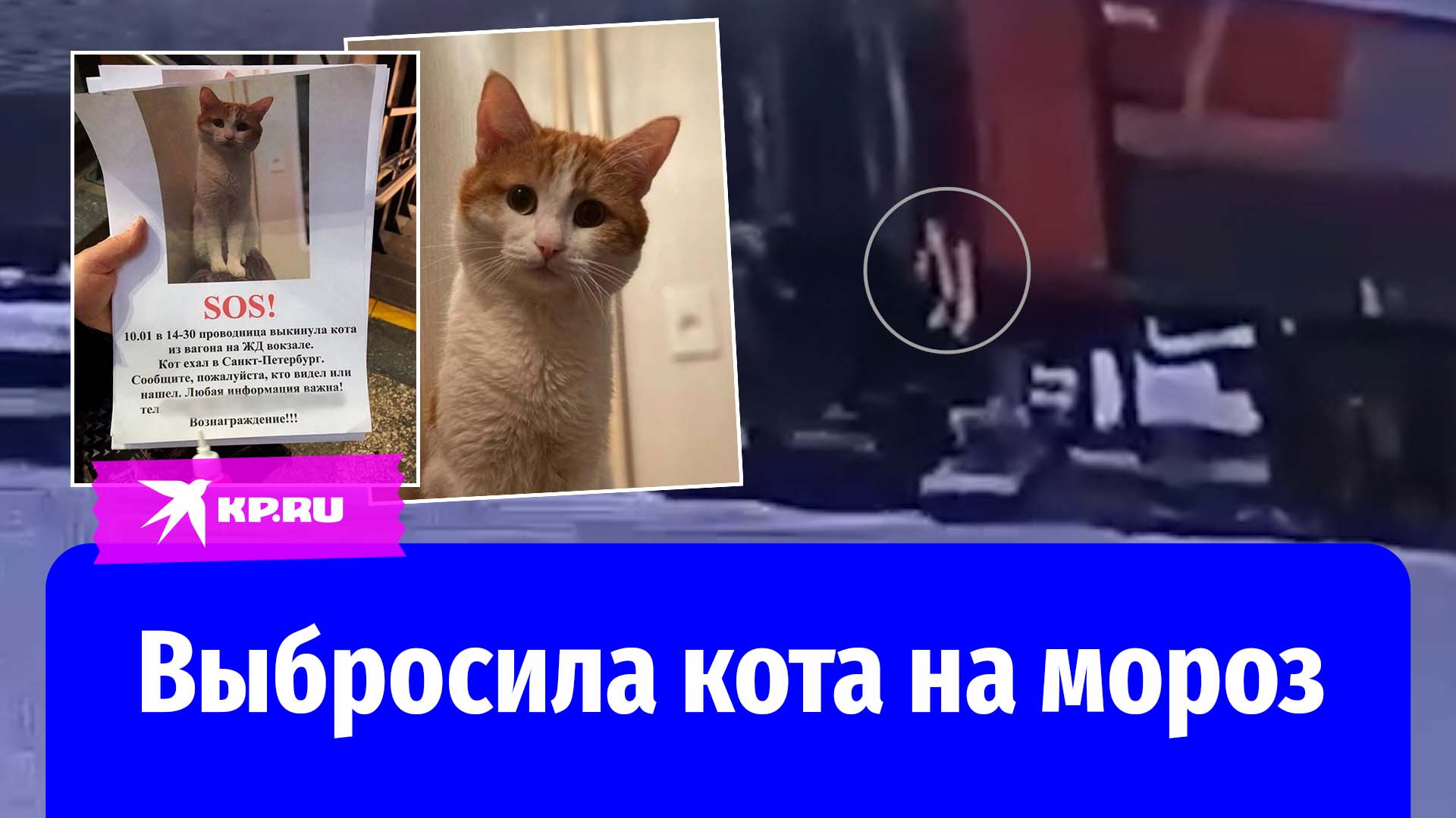 код субъекта кредитной истории. код субъекта кредитной истории в договоре. Qr код картинки для презентации. Qr кодирование. код субъекта кредитной истории в кредитном договоре.