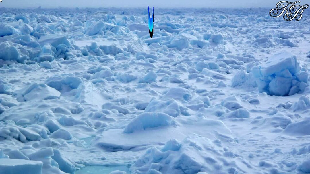 А снег идет евтушенко. Евтушенко идут белые снеги. Белые снеги в исполнении. Евгений евтушенко снеги. Белые снеги задорнов.