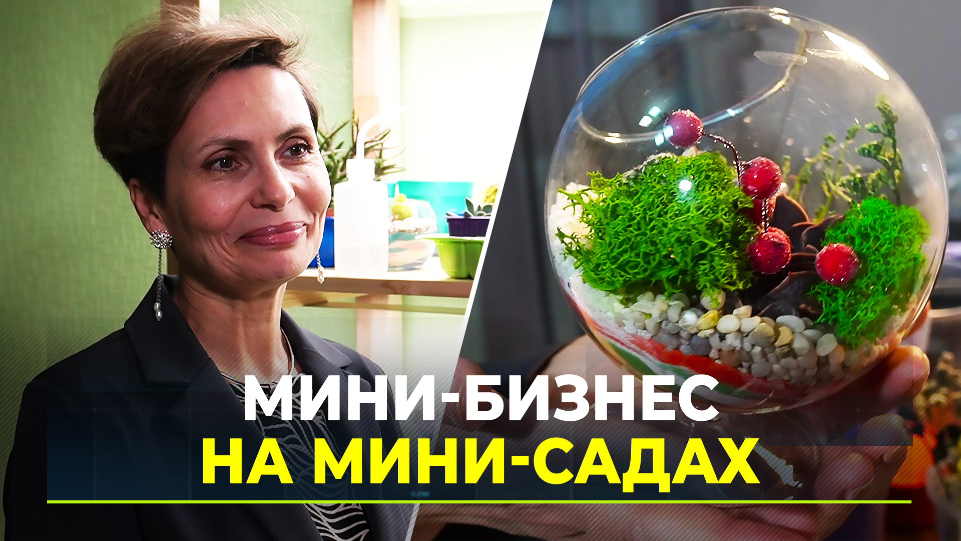 комнатные растения в жизни человека. комнатные растения для детей. комнатные растения для здоровья. роль комнатных растений в жизни человека. комнатные растения в жизни человека.