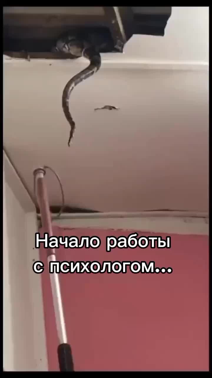 Астролог Людмила Никольская. | Сегодня день психолога - сложной, но ...