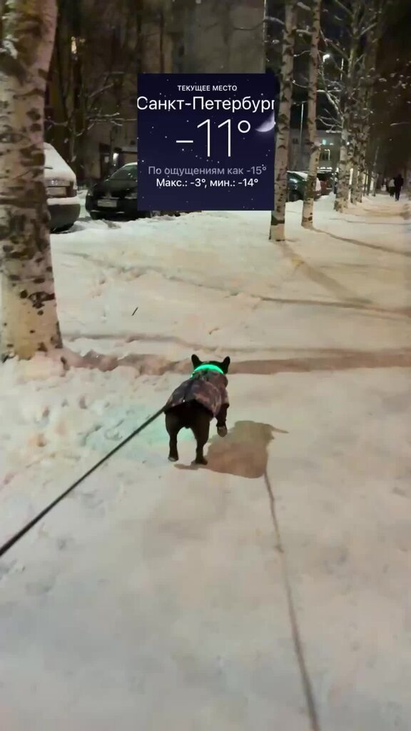 Замерз на бегу