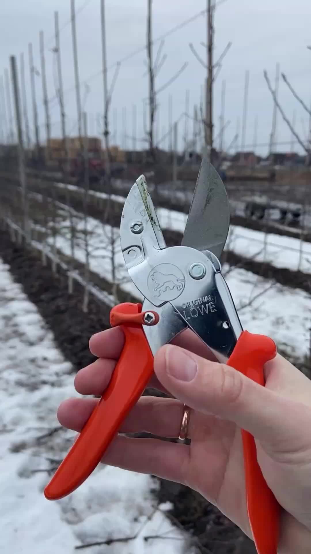 Секатор для сада какой лучше. Секатор садовый ozon. Ножницы садовые 57 см blaupunkt. Секатор rs19 wolf garden. Секатор 190мм сибртех.